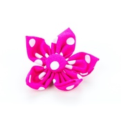 Pet Pooch Boutique - Pink Polka Flower Collar Accessory