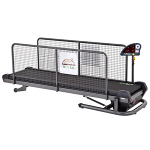 Professional Treadmill