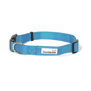 Bold Dog Collar – Cyan