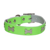 Creature Clothes - Galaxy Dog Collar - Green, Nickel Bones