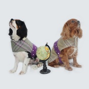 Minkeys Tweed - Belle Tweed Dog Coat