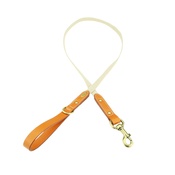 Clementine est. Dogs - Astor Webbing Dog Lead – Orange