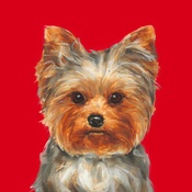 Paint My Dog - Yorkshire Terrier Art Print