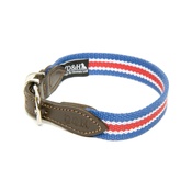 Dogs & Horses - Red, White & Blue Wide Striped Webbing Collar