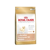 Royal Canin - Royal Canin Labrador Retriever Junior 33 12kg