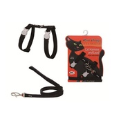 Black Harness & Lead