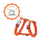 Plain Dog Harness - Orange