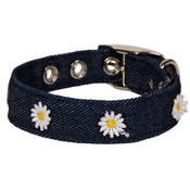 Creature Clothes - Denim With Daisies Dog Collar