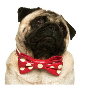 Polka Dot Collar With Bow