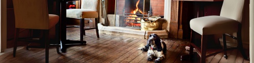 Dog Friendly Pubs with Rooms Gloucestershire