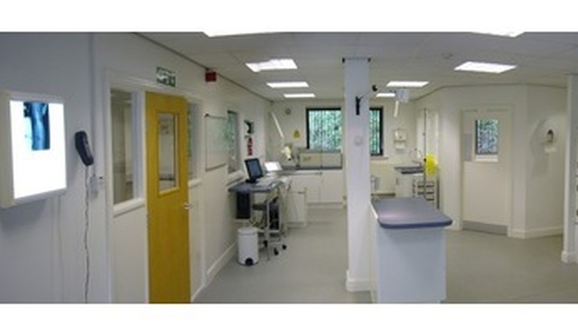 Cardiff Cat Clinic | Veterinary Surgeries | PetsPyjamas Cardiff Cat Clinic | Veterinary Surgeries | PetsPyjamas