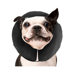 ProCollar Recovery Collar