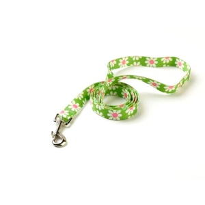 Green Daisy Lead