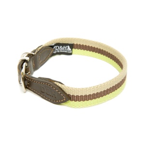 Green, Brown & Cream Wide Striped Webbing Collar