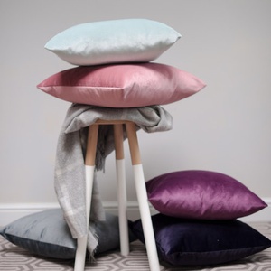 Velvet Scatter Cushion - Blush