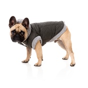 FuzzYard - Jersey Dog Hoodie