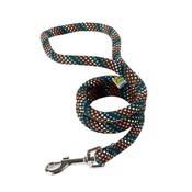 Yellow Dog - Braided Dog Lead – Rainbow with Black