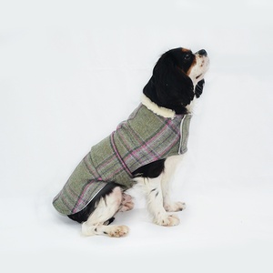Beau Tweed Dog Coat
