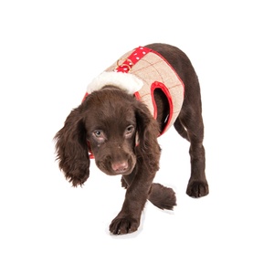 Barnaby Tweed Harness