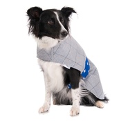 Minkeys Tweed - Darcy Tweed Dog Coat