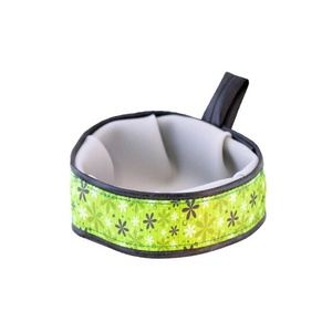 Trail Buddy Pet Travel Bowl – Apple Green Retro