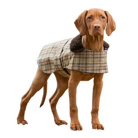 Balmoral Tweed Dog Coat | PetsPyjamas