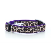 Pet Pooch Boutique - Leopard Print Dog Collar 1" Width