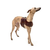 Mutts & Hounds - Grape Check Tweed Dog Harness
