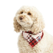 Pet Pooch Boutique - Patchwork Pete Dog Bandana