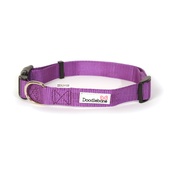 Doodlebone - Bold Dog Collar – Purple