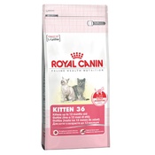 Royal Canin - Kitten 36 Cat Food