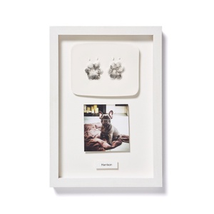 Framed Personalised Paw Mould & Photo