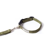 PetsPyjamas - Pawditch Khaki Dog Collar