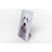 PetsPyjamas - Personalised Plastic Photo of Your Pet