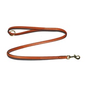 Pear Tannery - Embroidered Leather Dog Lead – London Tan