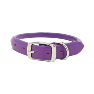 Rolled Leather Dog Collar – Purple