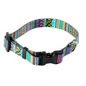Yellow Dog - Festival Stripe Dog Collar