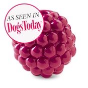 Planet Dog - Orbee Tuff Raspberry