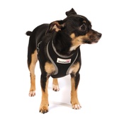 Doodlebone - Reflective Airmesh Dog Harness – Black