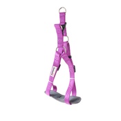 Doodlebone - Padded Bold Harness - Purple