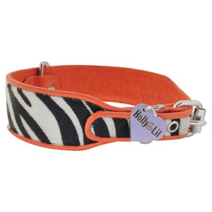 Orange & Zebra Safari