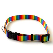 Yellow Dog - Rainbow Stripes Collar