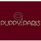 Puppy de Paris