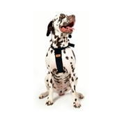 RAC - RAC Dog Car Harness