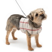 Mutts & Hounds - Nottingham Check Harness