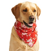 Pet Pooch Boutique - Red Vintage Primrose Dog Bandana