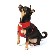 Doodlebone - Airmesh Dog Harness – Red