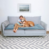 The Lounging Hound - Plush Velvet Sofa Topper - Airforce Blue