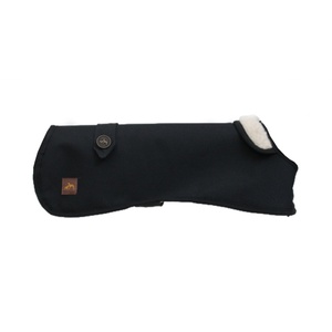 Dachshund Black Coat