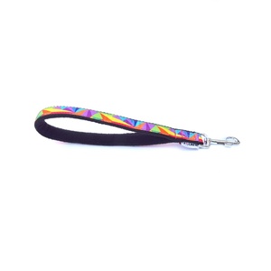 K9CREW Rainbow Short Lead (40cm)